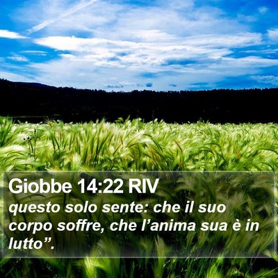 Giobbe 14:22 RIV Bible Verse Image
