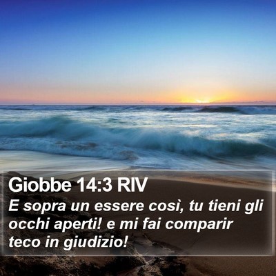 Giobbe 14:3 RIV Bible Verse Image
