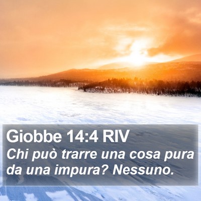 Giobbe 14:4 RIV Bible Verse Image