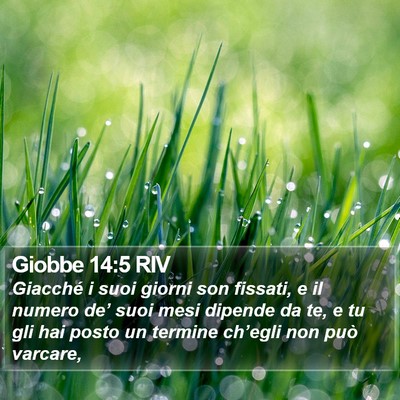 Giobbe 14:5 RIV Bible Verse Image
