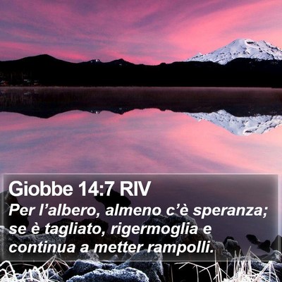 Giobbe 14:7 RIV Bible Verse Image