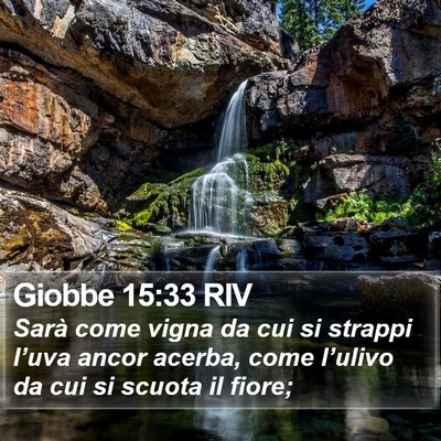Giobbe 15:33 RIV Bible Verse Image