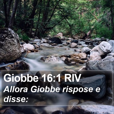 Giobbe 16:1 RIV Bible Verse Image