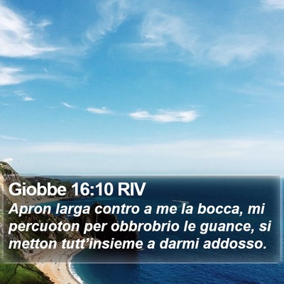 Giobbe 16:10 RIV Bible Verse Image