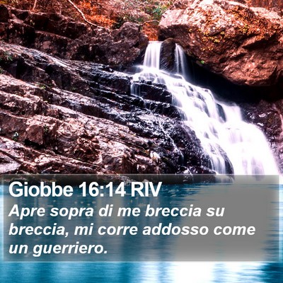 Giobbe 16:14 RIV Bible Verse Image