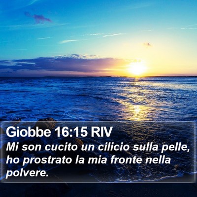 Giobbe 16:15 RIV Bible Verse Image