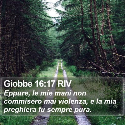 Giobbe 16:17 RIV Bible Verse Image