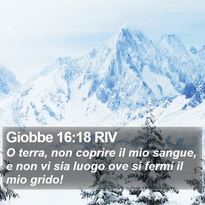 Giobbe 16:18 RIV Bible Verse Image