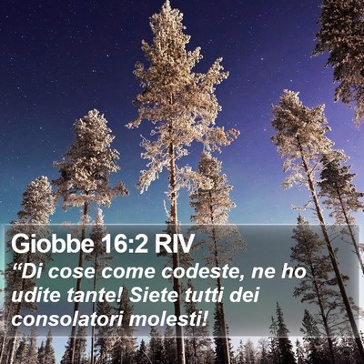 Giobbe 16:2 RIV Bible Verse Image