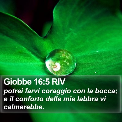 Giobbe 16:5 RIV Bible Verse Image