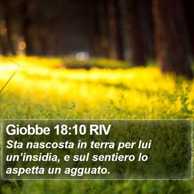Giobbe 18:10 RIV Bible Verse Image