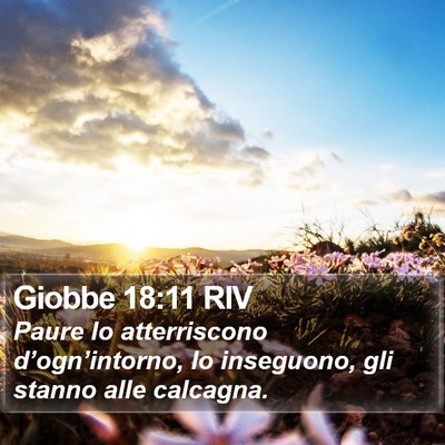 Giobbe 18:11 RIV Bible Verse Image