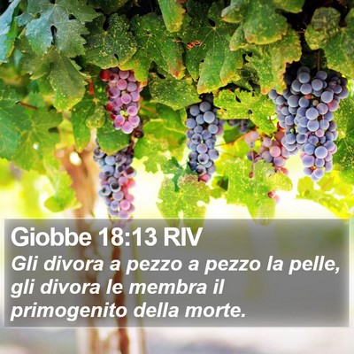 Giobbe 18:13 RIV Bible Verse Image