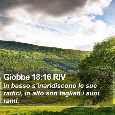 Giobbe 18:16 RIV Bible Verse Image