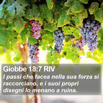 Giobbe 18:7 RIV Bible Verse Image