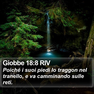 Giobbe 18:8 RIV Bible Verse Image