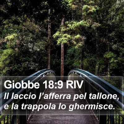 Giobbe 18:9 RIV Bible Verse Image
