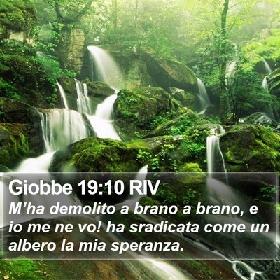 Giobbe 19:10 RIV Bible Verse Image