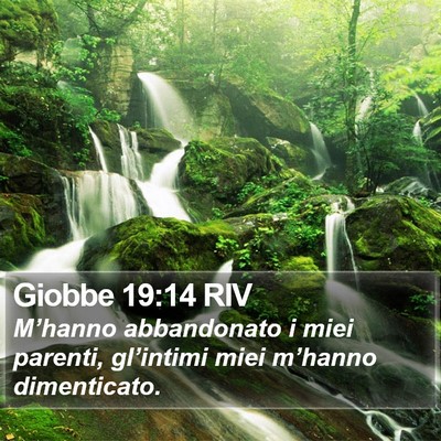 Giobbe 19:14 RIV Bible Verse Image