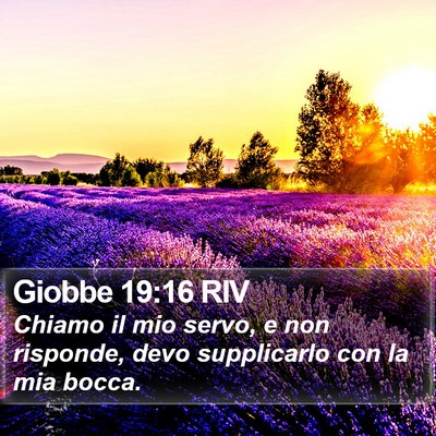 Giobbe 19:16 RIV Bible Verse Image