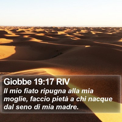 Giobbe 19:17 RIV Bible Verse Image