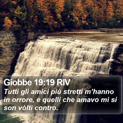 Giobbe 19:19 RIV Bible Verse Image