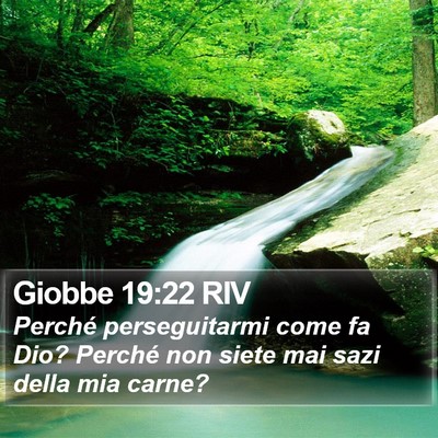 Giobbe 19:22 RIV Bible Verse Image