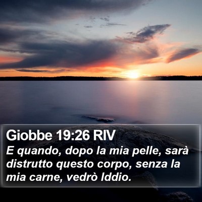 Giobbe 19:26 RIV Bible Verse Image