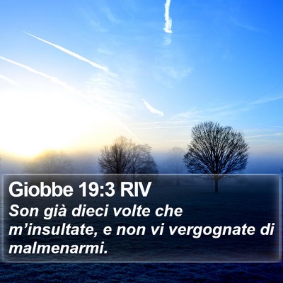 Giobbe 19:3 RIV Bible Verse Image