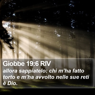 Giobbe 19:6 RIV Bible Verse Image