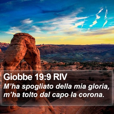Giobbe 19:9 RIV Bible Verse Image