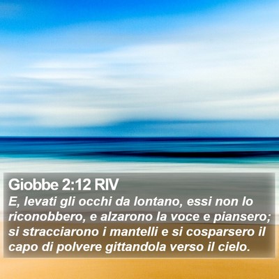 Giobbe 2:12 RIV Bible Verse Image