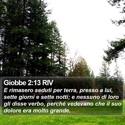 Giobbe 2:13 RIV Bible Verse Image