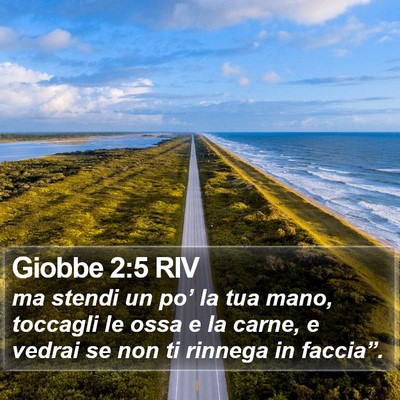 Giobbe 2:5 RIV Bible Verse Image