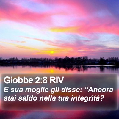Giobbe 2:8 RIV Bible Verse Image