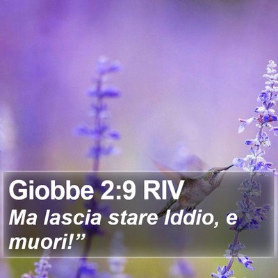 Giobbe 2:9 RIV Bible Verse Image