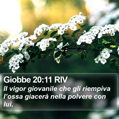 Giobbe 20:11 RIV Bible Verse Image