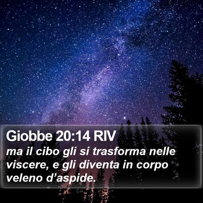 Giobbe 20:14 RIV Bible Verse Image