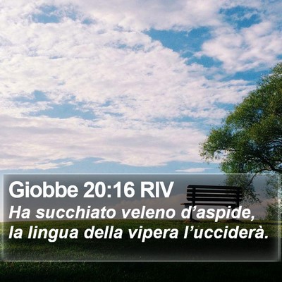 Giobbe 20:16 RIV Bible Verse Image