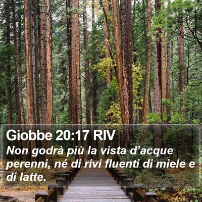 Giobbe 20:17 RIV Bible Verse Image