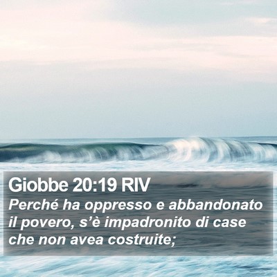 Giobbe 20:19 RIV Bible Verse Image
