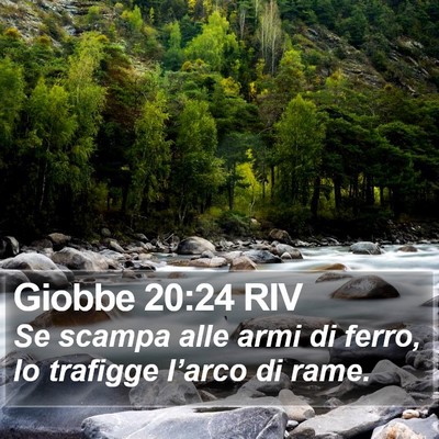 Giobbe 20:24 RIV Bible Verse Image