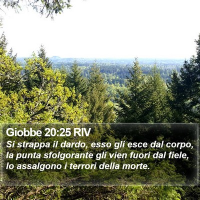 Giobbe 20:25 RIV Bible Verse Image