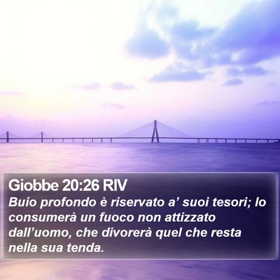 Giobbe 20:26 RIV Bible Verse Image