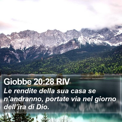 Giobbe 20:28 RIV Bible Verse Image