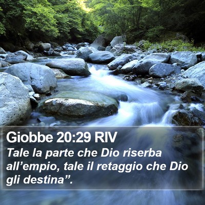 Giobbe 20:29 RIV Bible Verse Image