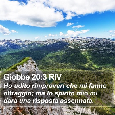 Giobbe 20:3 RIV Bible Verse Image