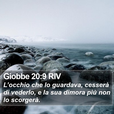 Giobbe 20:9 RIV Bible Verse Image