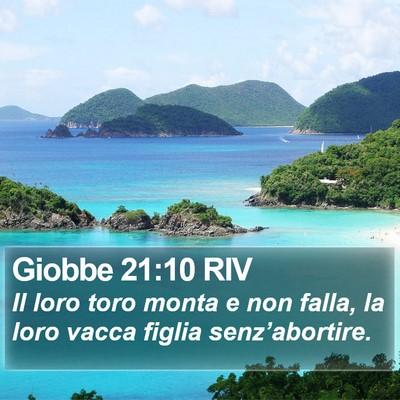 Giobbe 21:10 RIV Bible Verse Image