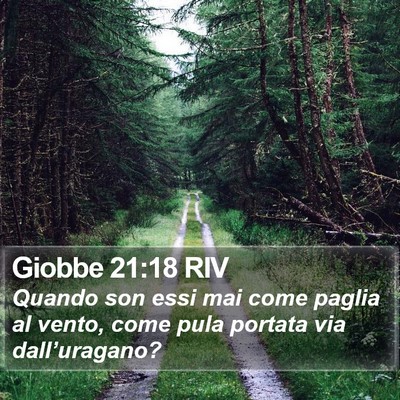 Giobbe 21:18 RIV Bible Verse Image
